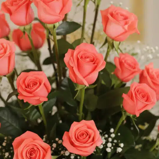 Primer plano extremo de rosas salmón frescas con gotas de rocío, parte del Arreglo Floral ABRAMIO, destacando su textura y co