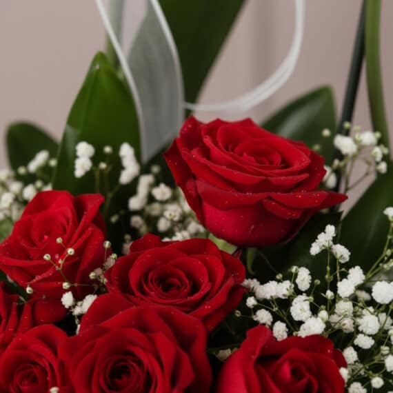 Primer plano extremo de rosas rojas frescas con gotas de rocío, hojas verdes y pequeñas flores blancas, destacando la textura