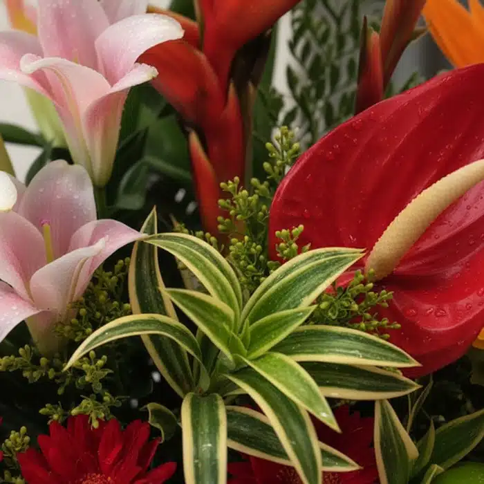 arreglo floral eclipse macro odi2