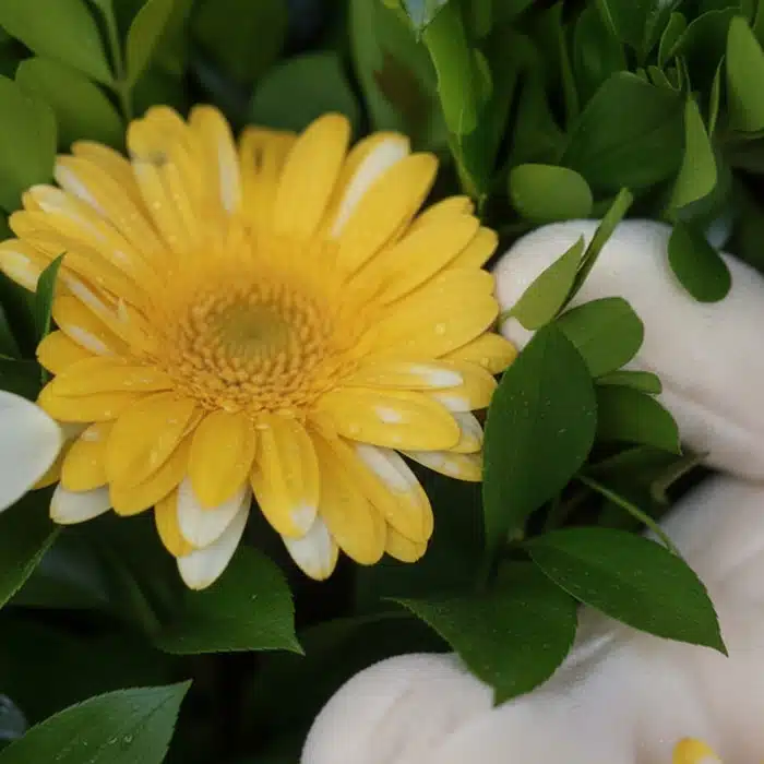 arreglo floral exotico amaretto macro