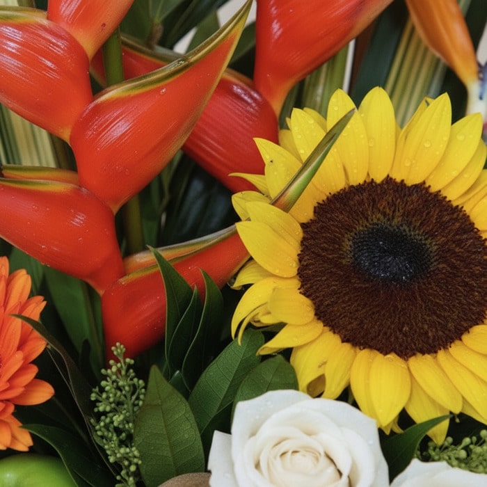 arreglo floral frutas tamarillo macro d8jnzdt