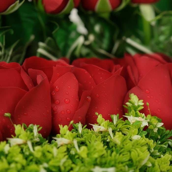 arreglo floral musca rosas rojas noq2