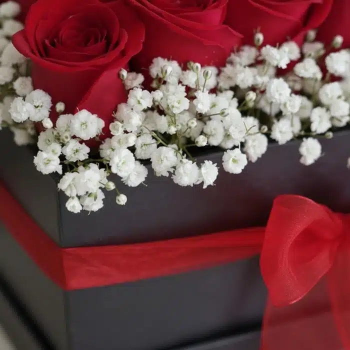 arreglo floral petalos macro rosas rojas 6fcyge