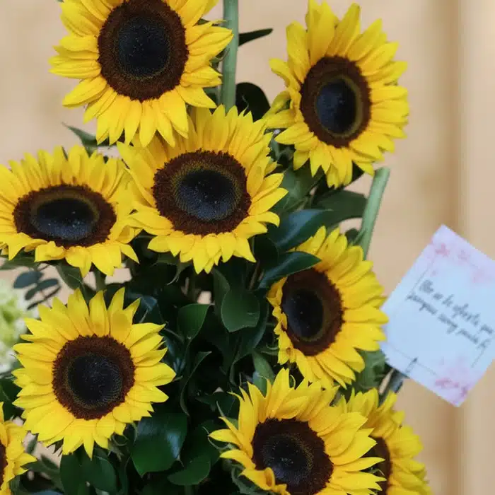 arreglo girasoles sunna frescura natural udvc9n