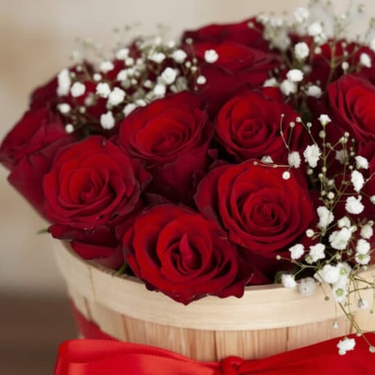 Primer plano extremo de 15 rosas rojas premium en un balde rústico de madera con lazo rojo, adornadas con flores de paniculat