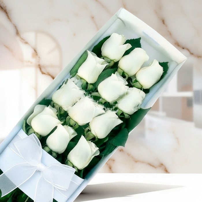 Box of 12 White Roses