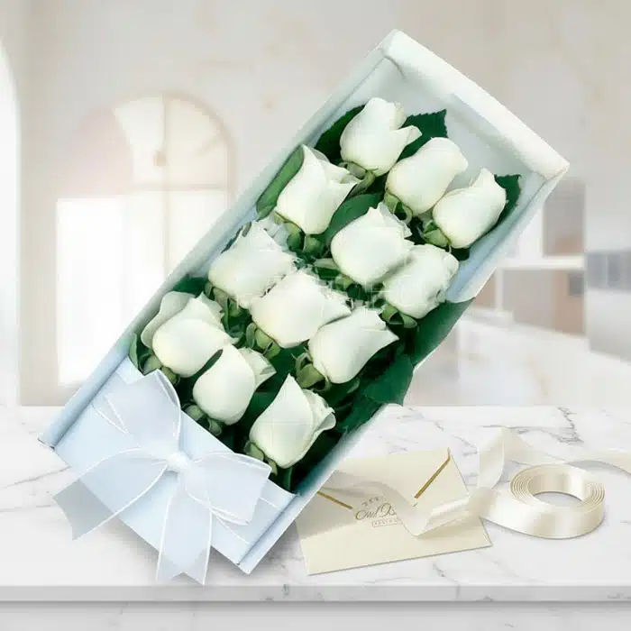 caja 12 rosas blancas regalo elegante l5isyj