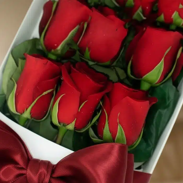 caja 12 rosas rojas frescas