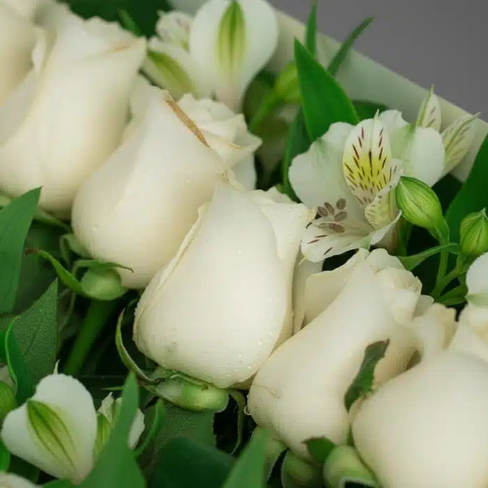 caja 18 rosas blancas macro frescas fmfolc