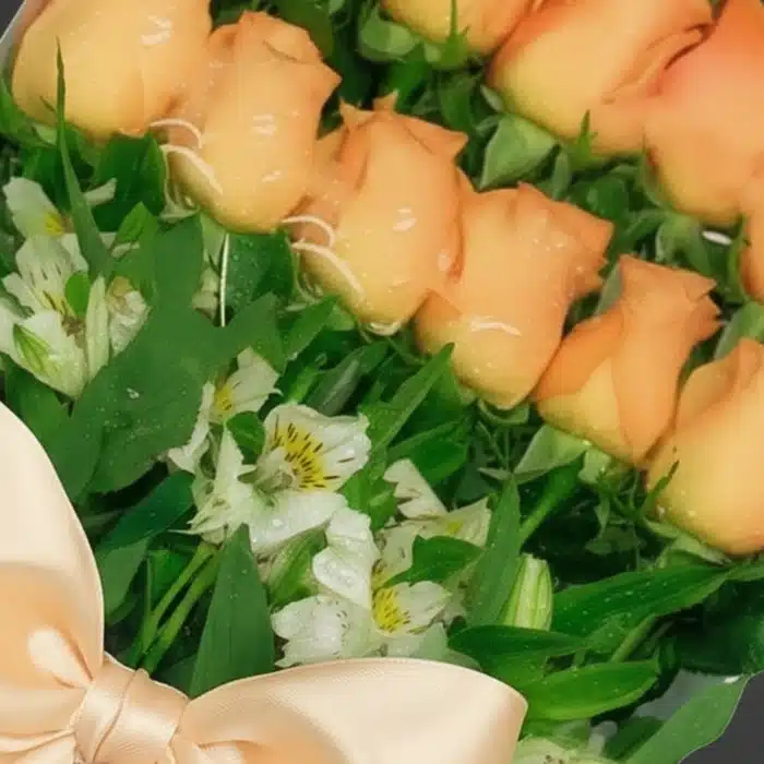 caja 24 rosas salmon frescas rija4qdu