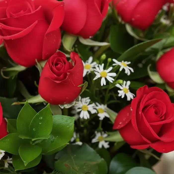 jarron 18 rosas rojas frescas eqiag