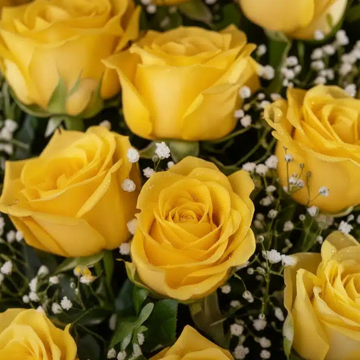 jarron 24 rosas amarillas frescas v2pg