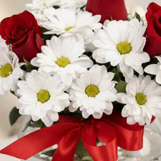 Primer plano extremo de Jarron Floral Antonietta con rosas rojas vibrantes y margaritas blancas frescas, gotas de rocío sutil