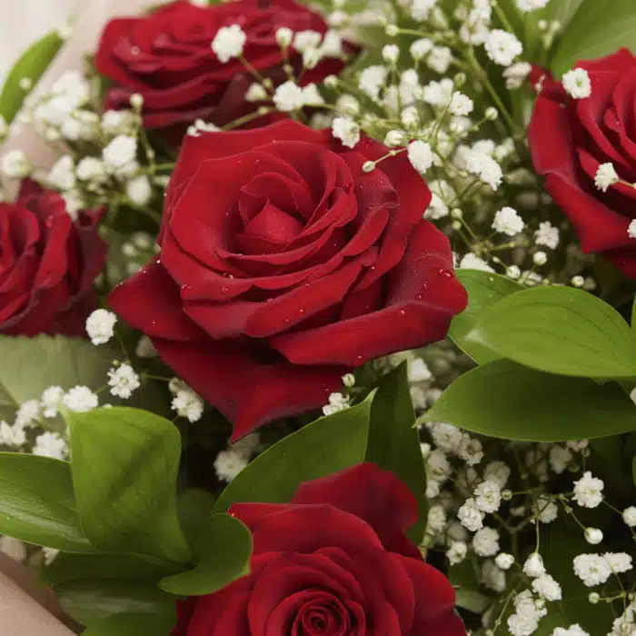 ramillete rosas rojas frescas 0byabbyb