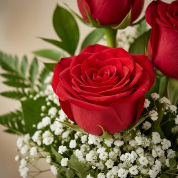 Primer plano extremo de un solitario de rosas rojas con gotas de rocío, follaje verde y pequeñas flores blancas, destacando l