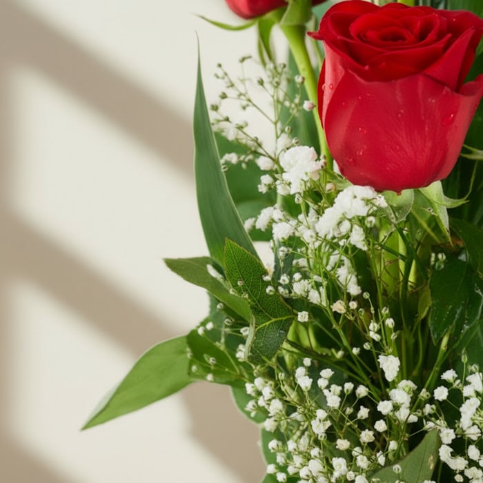 solitario rosas marilyn macro u1m7af