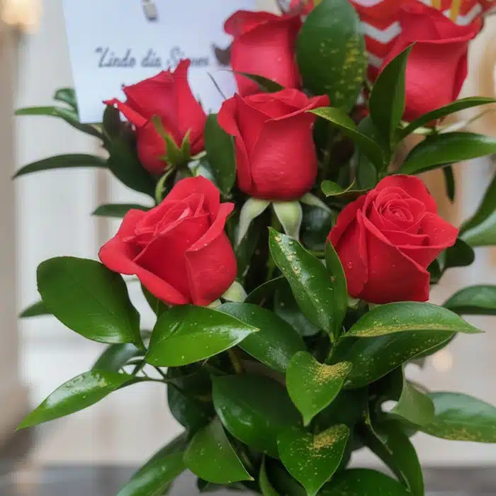 solitario rosas me enamoras macro 6l85jh