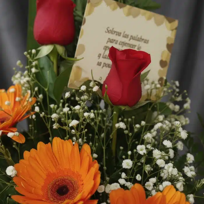 solitario tu recuerdo macro rosas gerberas loop